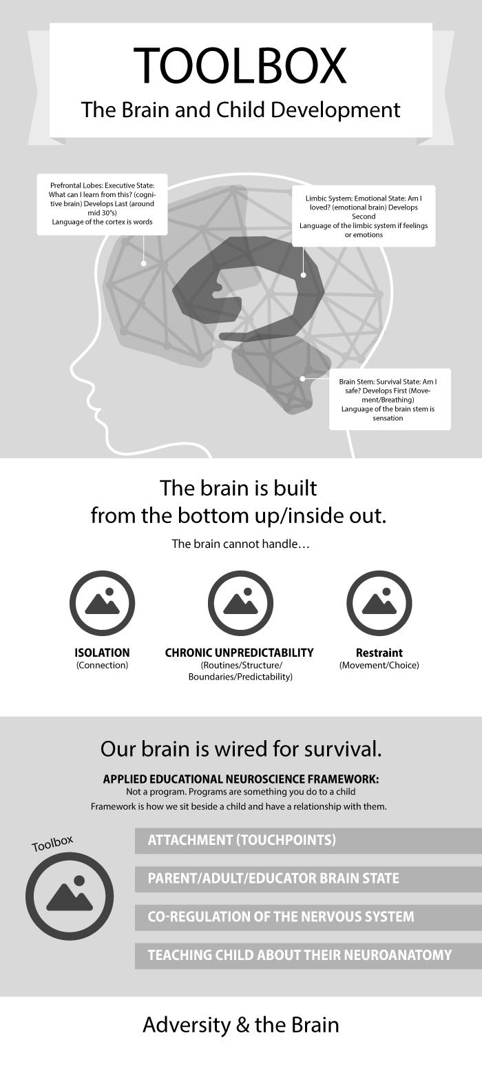 Brain built – REVELATIONS IN EDUCATION