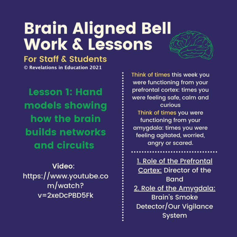 © Brain Aligned Lessons 1