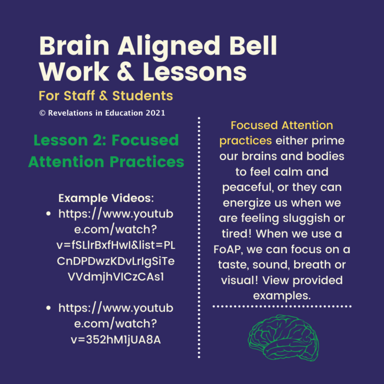 © Brain Aligned Lessons 2