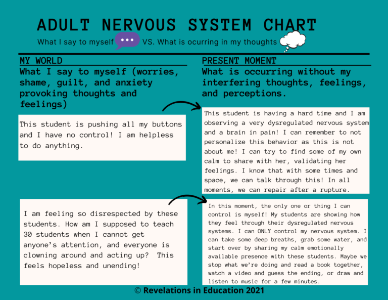 Adult Nervous System Chart