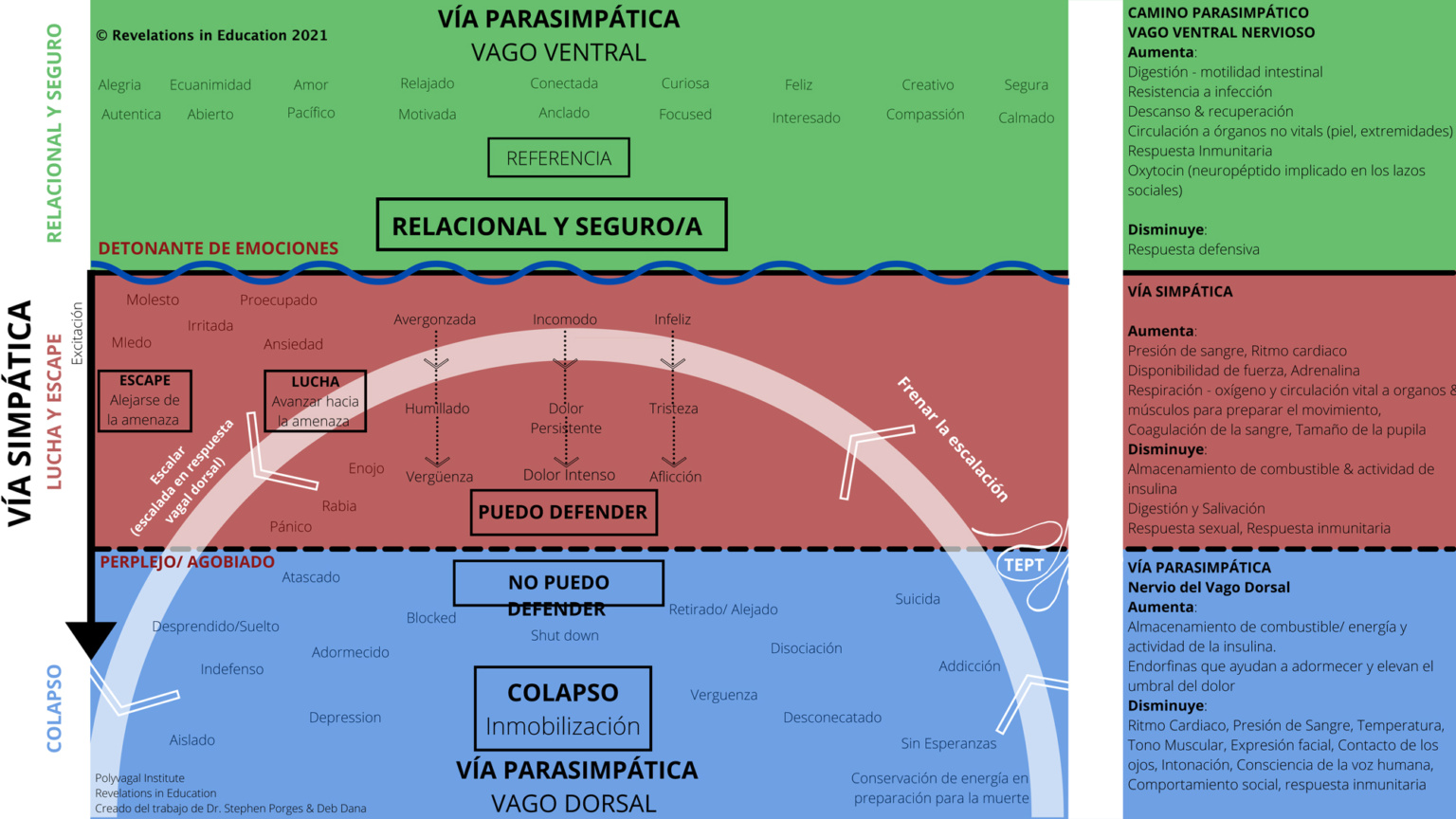 Spanish Translation of SYMPATHETIC NERVOUS SYSTEM FIGHT & FLIGHT REVELATIONS IN EDUCATION