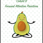 Cohort 6 focused attention practices