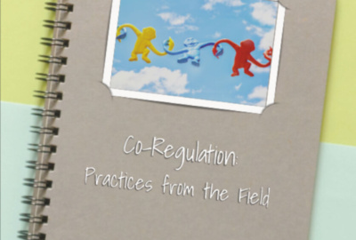 Co Regulation practices from the field
